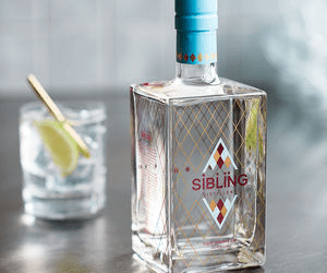 Brand Identity: Sibling Gin